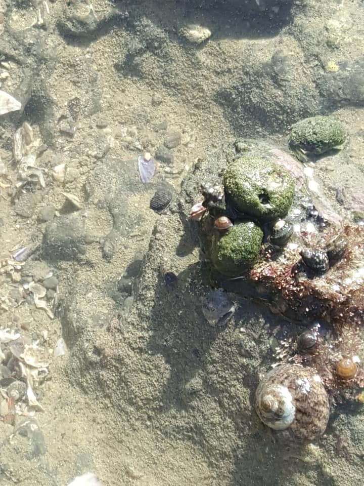 d0269832_07011017.jpeg