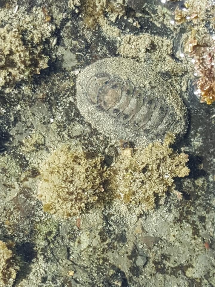 d0269832_07014625.jpeg