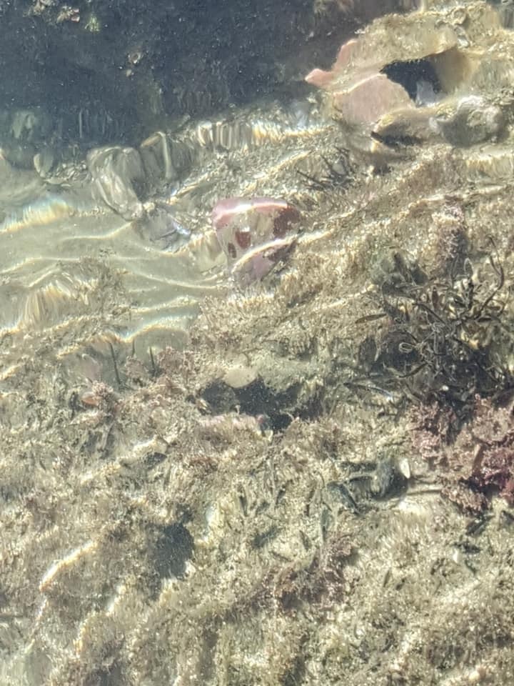 d0269832_07031782.jpeg