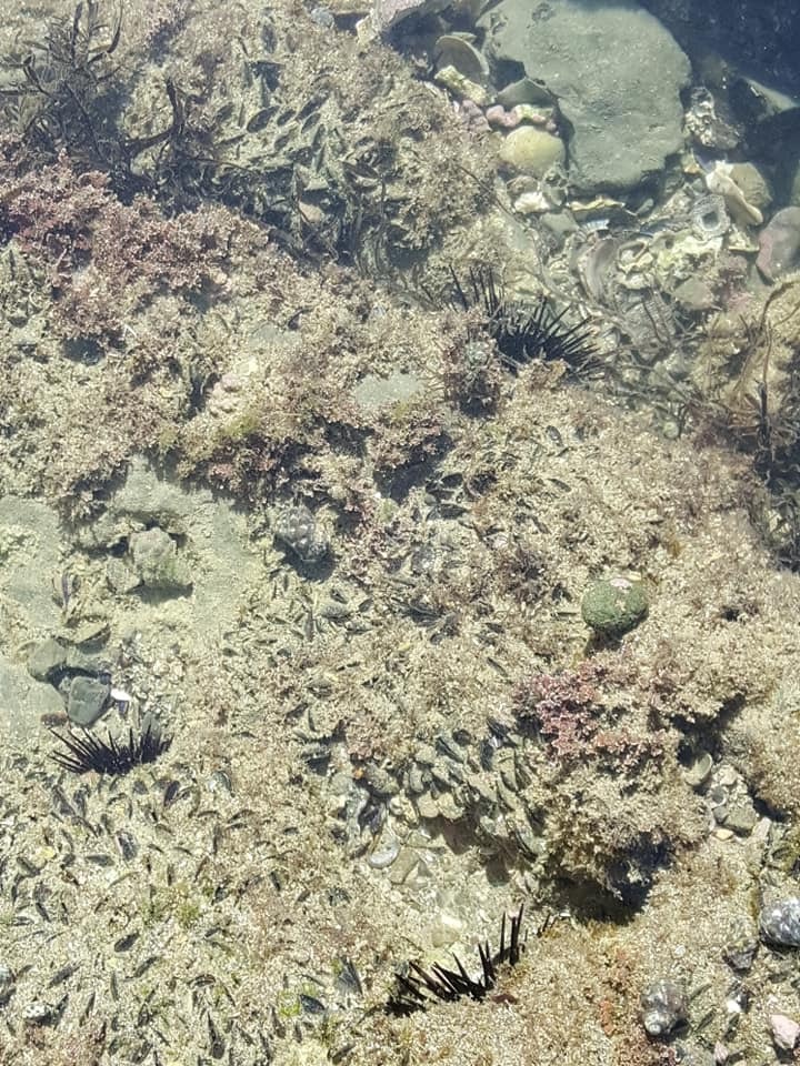 d0269832_07035267.jpeg