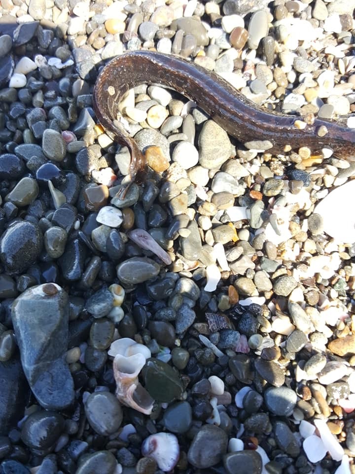 d0269832_07051948.jpeg