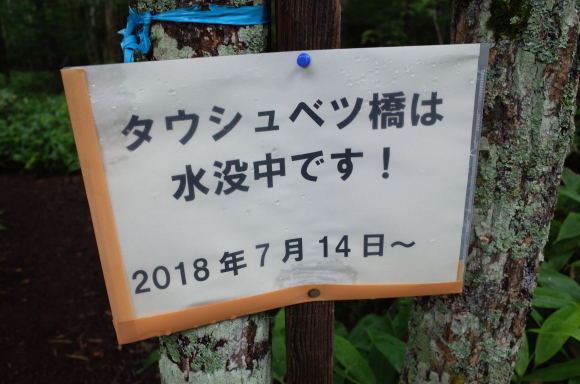 実家へ帰らせていただきます 4日目 その5～ひがし大雪自然館_a0287336_19350774.jpg