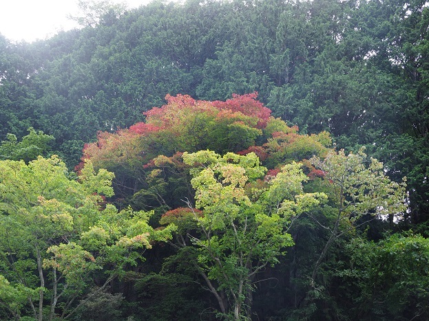 e0272042_19070607.jpg