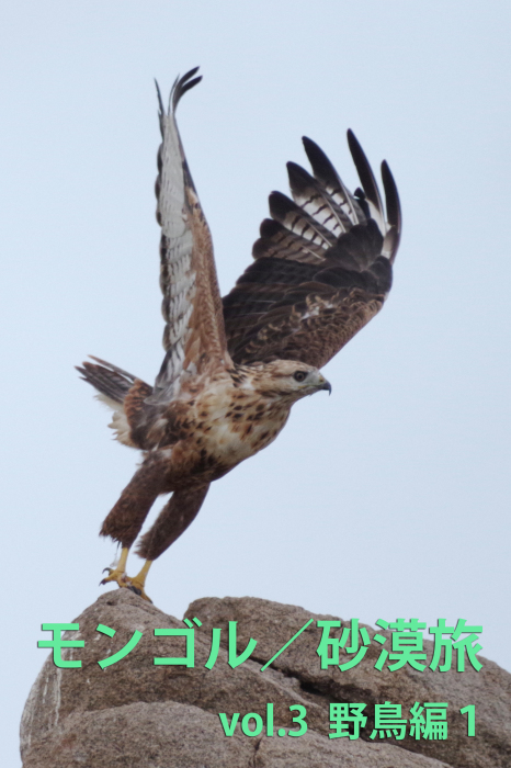 モンゴル砂漠旅vol 3野鳥編1 還暦からのネイチャーフォト モンゴル砂漠旅vol 3野鳥編1 還暦からのネイチャーフォト