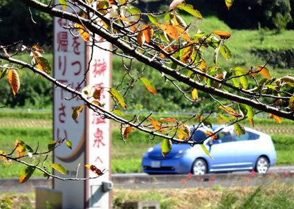 榊原温泉で秋を感じませんか_b0145257_15493259.jpg