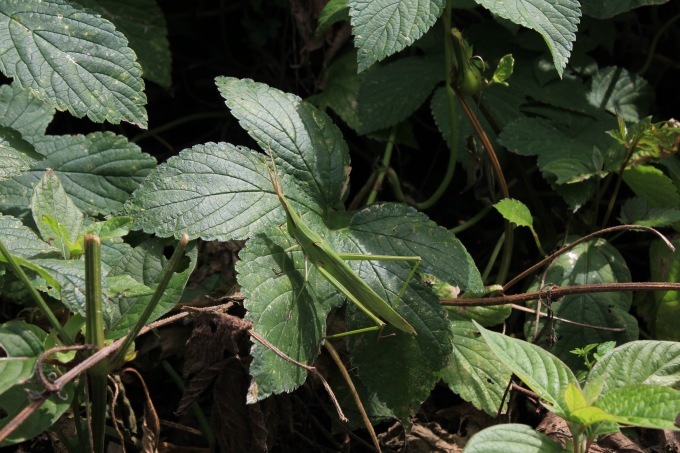 a0248459_15120000.jpg