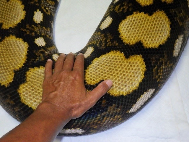 c0105569_02522942.jpg