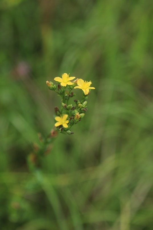 e0304170_23361693.jpg