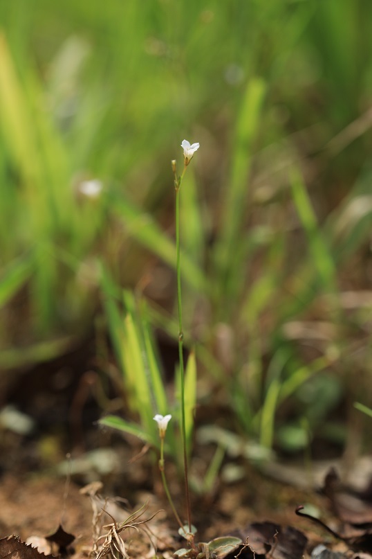 e0304170_23364147.jpg