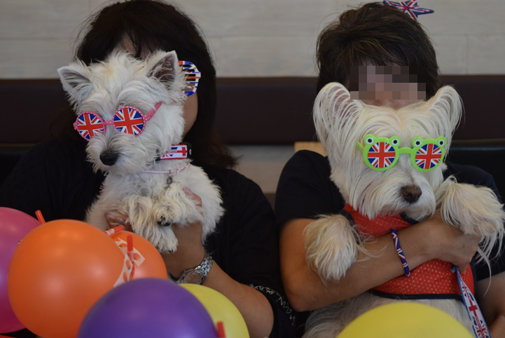 b0242873_14351276.png
