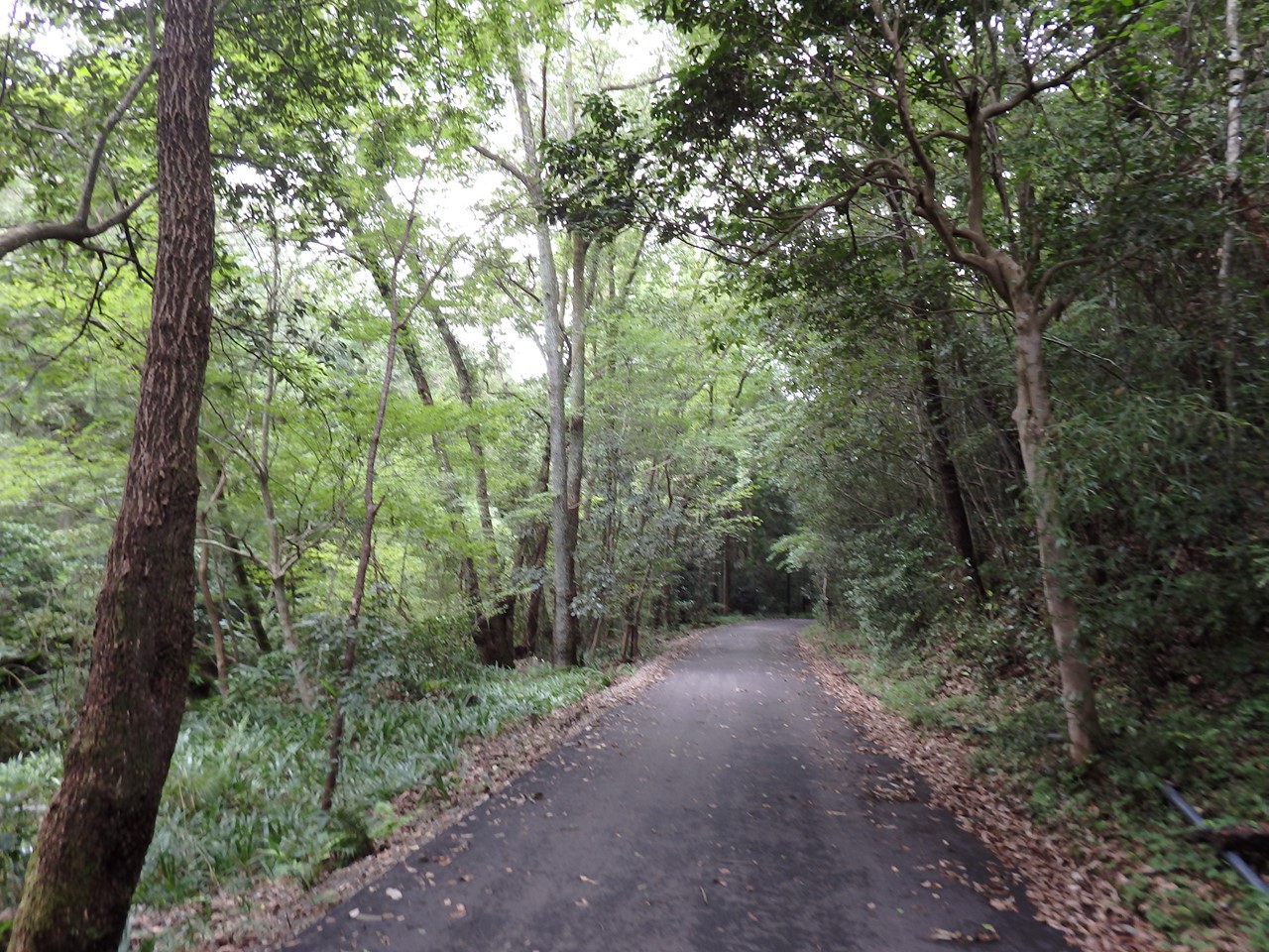 d0054276_2037139.jpg