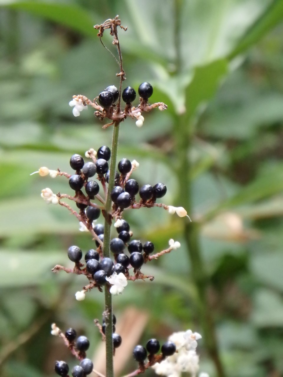 d0054276_20382171.jpg