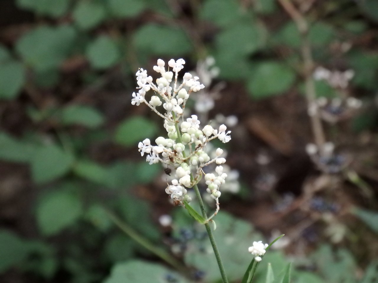 d0054276_2038337.jpg
