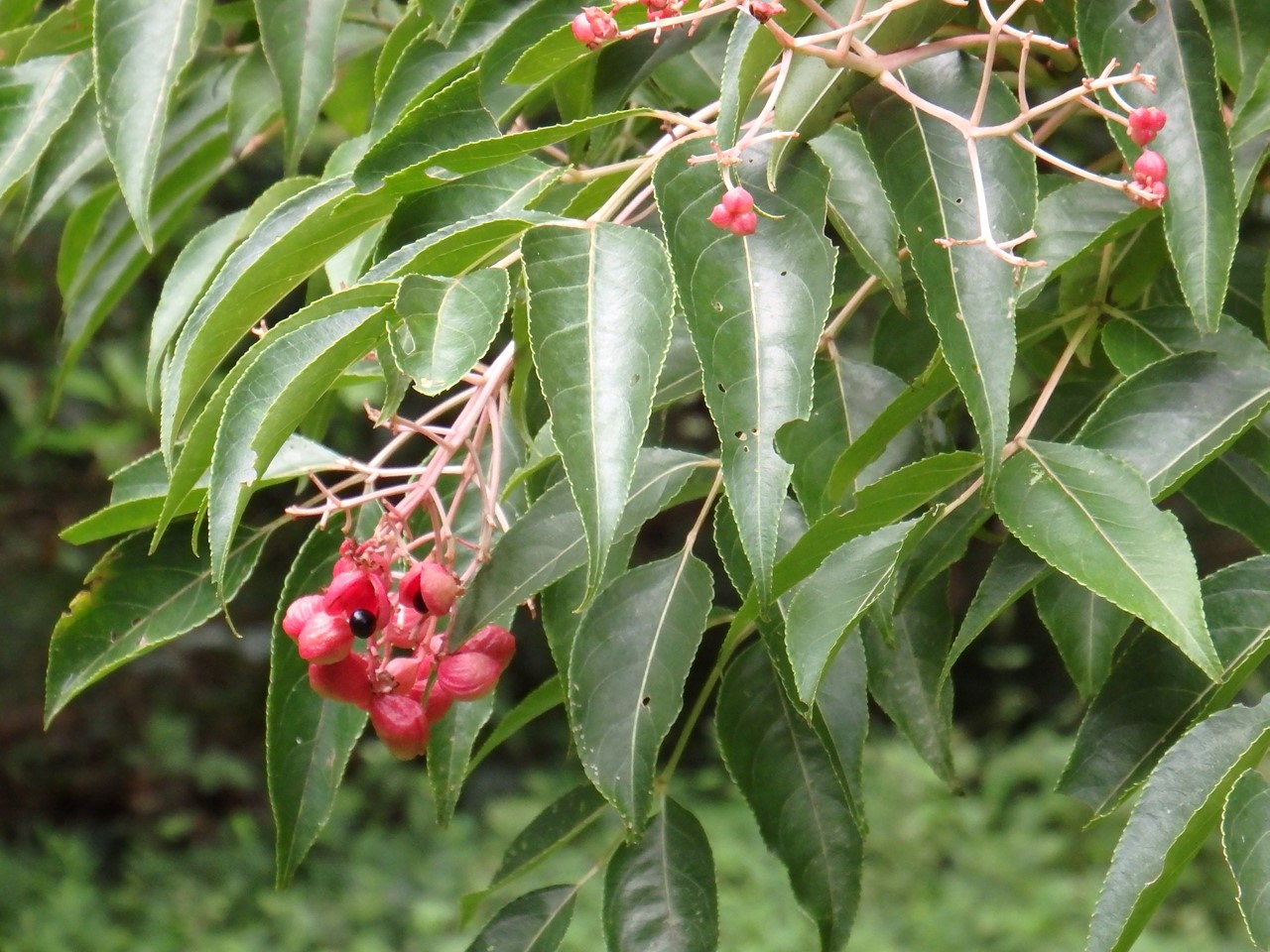 d0054276_20401795.jpg