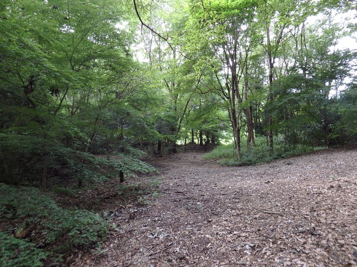 d0054276_20414150.jpg