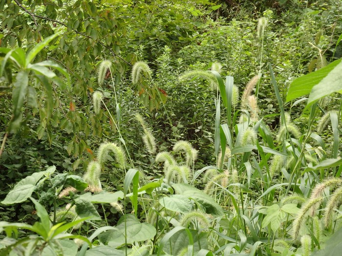 d0054276_20415244.jpg