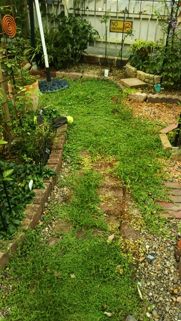 f0366679_14454122.jpg