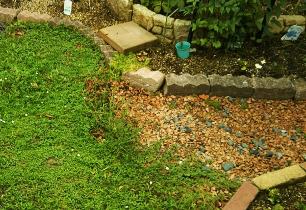 f0366679_14462208.jpg