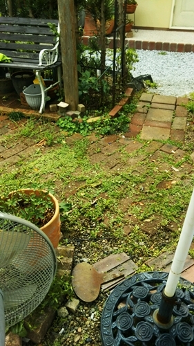 f0366679_14485640.jpg