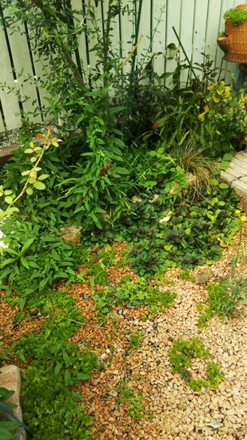 f0366679_14504442.jpg