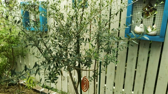 f0366679_14514096.jpg