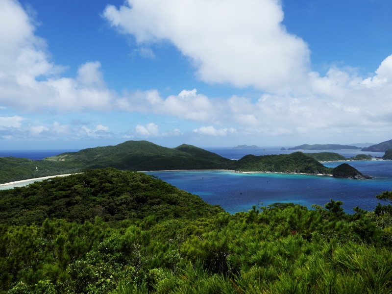 b0368380_22050298.jpg