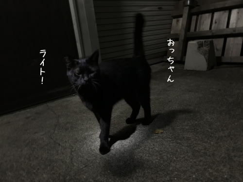 a0216583_23414368.png