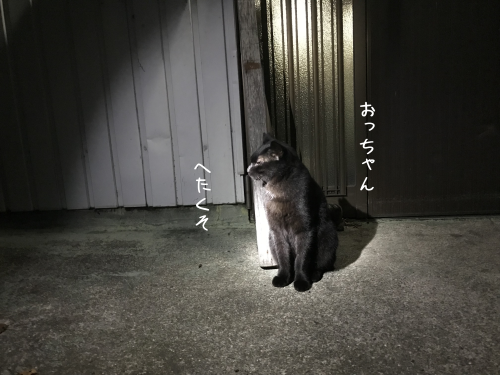 a0216583_23415461.png