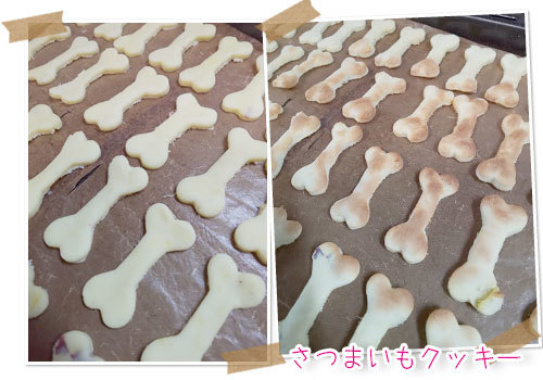 犬用さつまいもクッキー 週末は 愛犬モモと永吉 拓海とお出かけ Kimi S Eye 犬用さつまいもクッキー 週末は 愛犬モモと永吉 拓海とお出かけ Kimi S Eye
