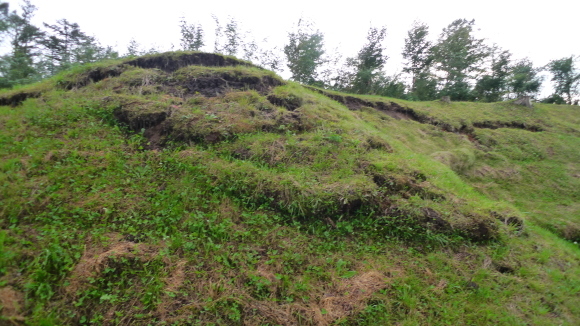 c0212083_18511540.jpg