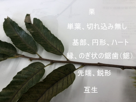 c0129685_16253014.jpg
