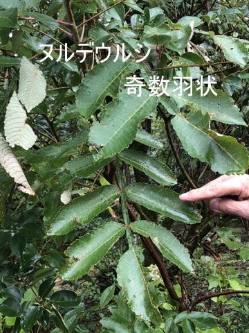 c0129685_16261440.jpg