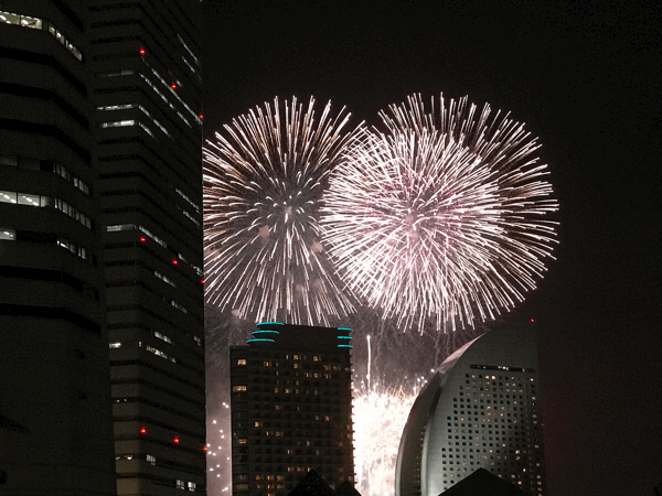 b0369486_00591223.gif