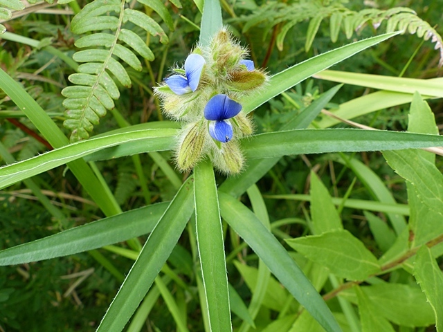 f0357487_00084179.jpg