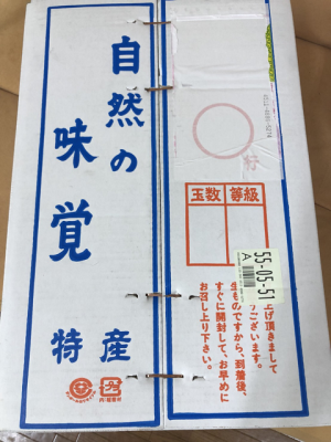 a0113889_16580745.png