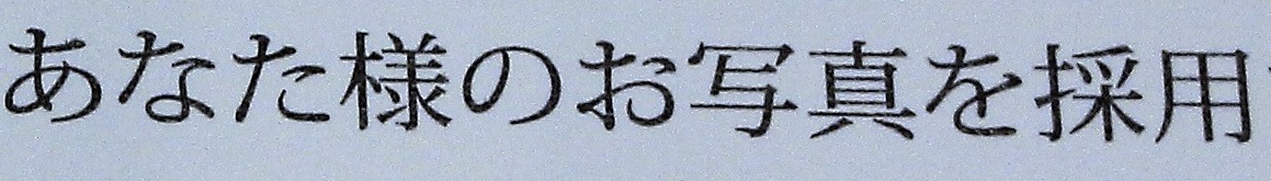 極楽ネコカレンダー_a0333195_22044959.jpg