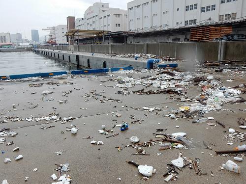 台風のあと　4突_b0051598_22234526.jpg