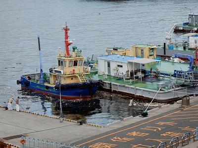 台風のあと　4突_b0051598_22235626.jpg