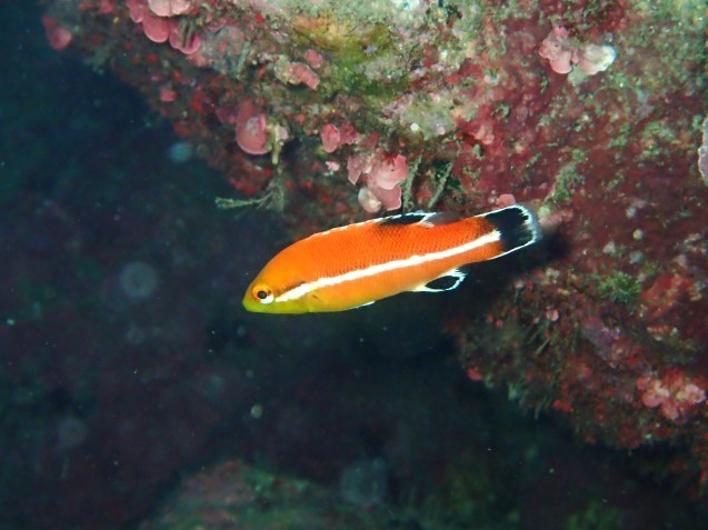 e0115199_12280417.jpg
