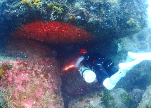 e0115199_12290500.jpg