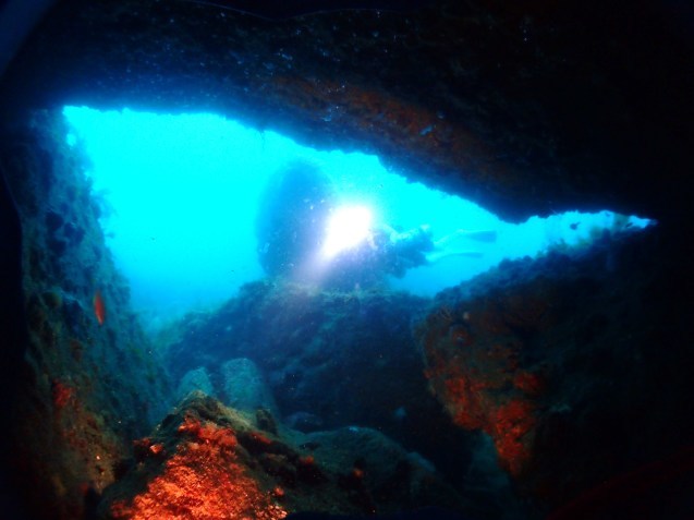 e0115199_12301565.jpg