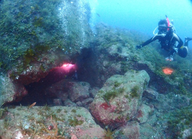 e0115199_12325423.jpg