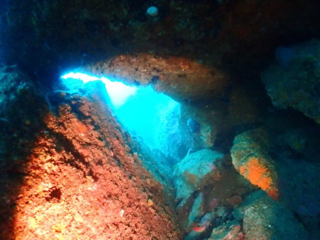 e0115199_12375993.jpg