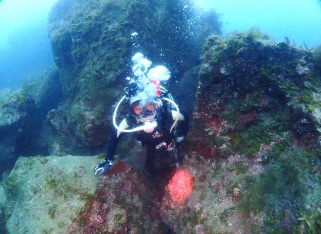 e0115199_12401593.jpg
