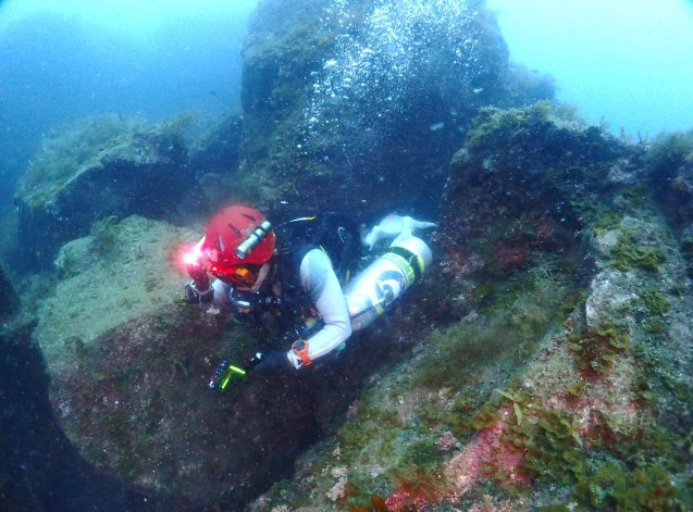 e0115199_12450133.jpg