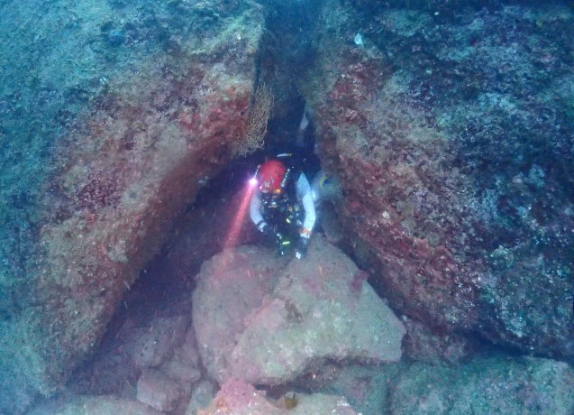 e0115199_12454476.jpg
