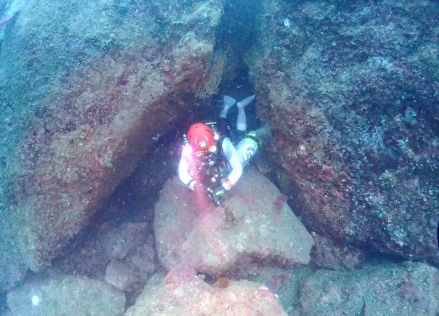 e0115199_12463302.jpg