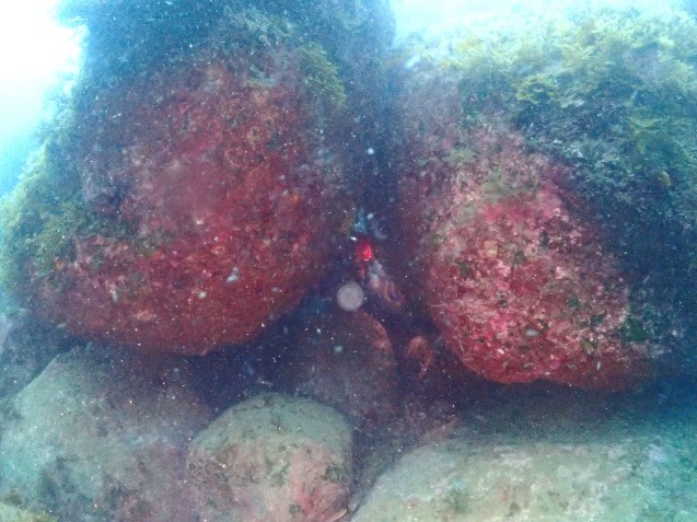 e0115199_13004901.jpg