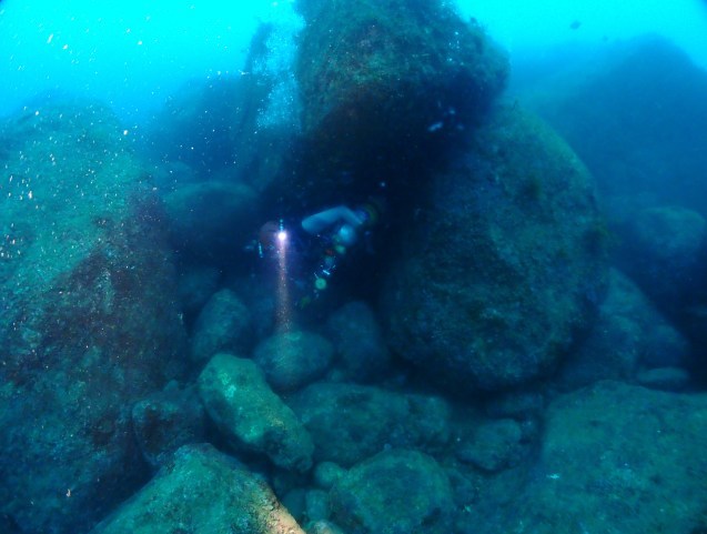 e0115199_13023373.jpg