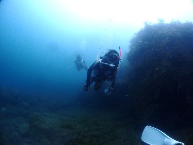e0115199_14471383.jpg